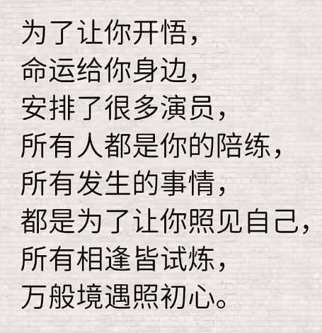 命运安排了NPC来训练我